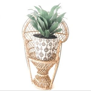 Peacock Chair Planter